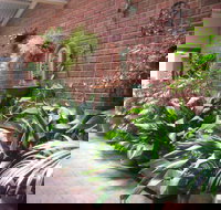 Edge of the Forest - QLD Tourism