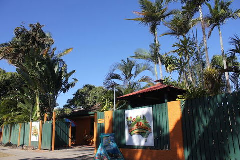 JJs Backpackers Hostel - QLD Tourism 1