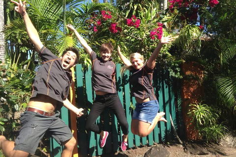 JJs Backpackers Hostel - QLD Tourism 6