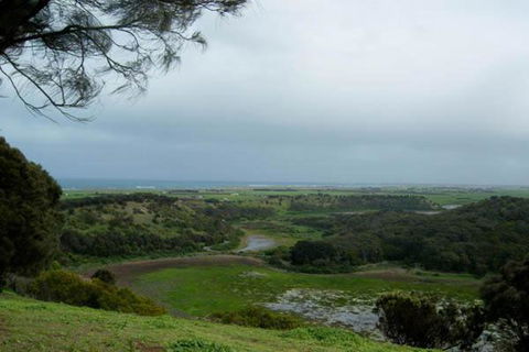 Birch House Koroit - QLD Tourism 7