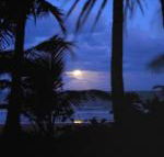 Sejala Beach Huts - Queensland Tourism
