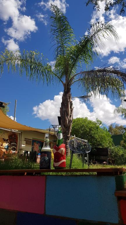 Alices Secret Travellers Inn - QLD Tourism 1