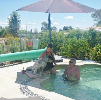 Must Love Dogs B&b - Queensland Tourism 1