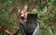 Shearwater Cottages - thumb 1