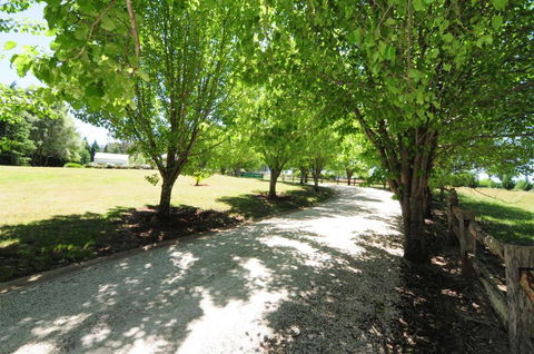 Daisy Cottage - QLD Tourism 7