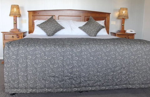 Saltbush Motor Inn - Queensland Tourism 5