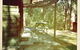 Twin Falls Bush Cottages - thumb 7