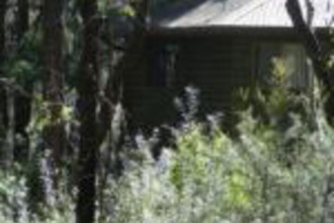 Twin Falls Bush Cottages - Queensland Tourism 0