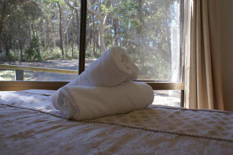 Twin Falls Bush Cottages - Queensland Tourism 5