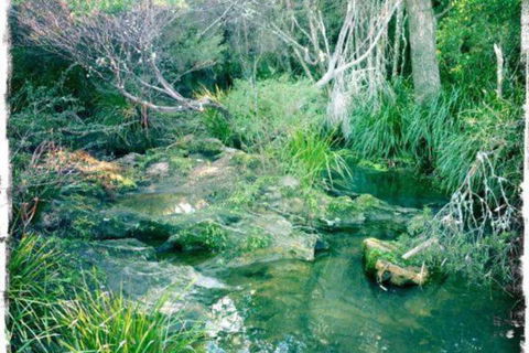 Twin Falls Bush Cottages - Queensland Tourism 2