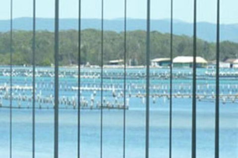 Montgomery Apartments - QLD Tourism 0