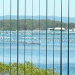 Montgomery Apartments - QLD Tourism 1