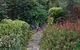 Admurraya House Bed & Breakfast - thumb 4