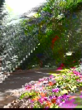 Ivanhoe Village Caravan Resort - Queensland Tourism 2
