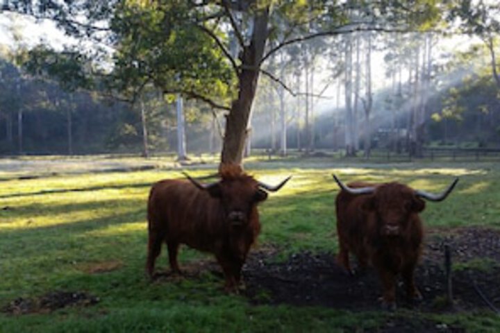 Glenhaven NSW Queensland Tourism