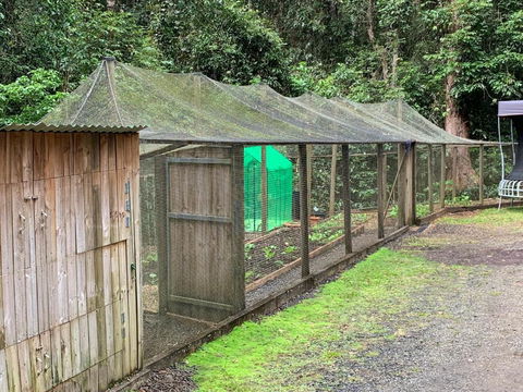 Figtree Getaway - Queensland Tourism 6