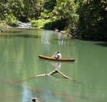 Figtree Getaway - Queensland Tourism