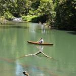 Figtree Getaway - Queensland Tourism 0