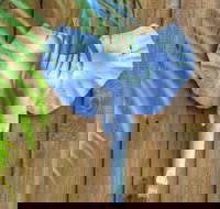 Deja Vu Palm Cove Private Heated Pool - QLD Tourism