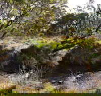 Green Gully House - Queensland Tourism