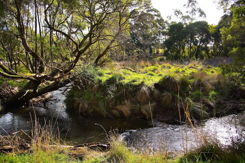 Green Gully House - Queensland Tourism 0