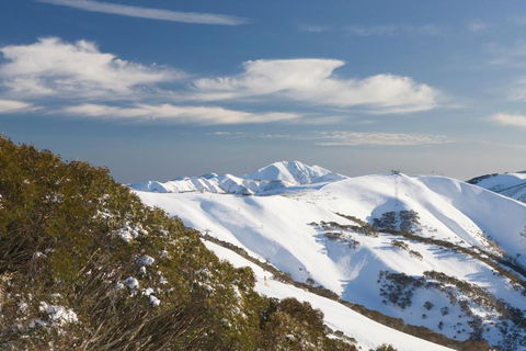 Absollut - QLD Tourism 5