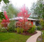 Dalrymples Guest Cottages - Queensland Tourism