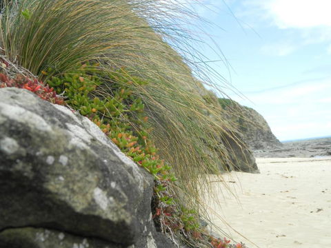 Cape 28 - Queensland Tourism 5
