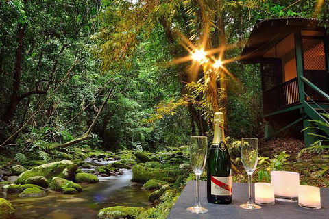 Misty Mountains Rainforest Retreat - Queensland Tourism 3