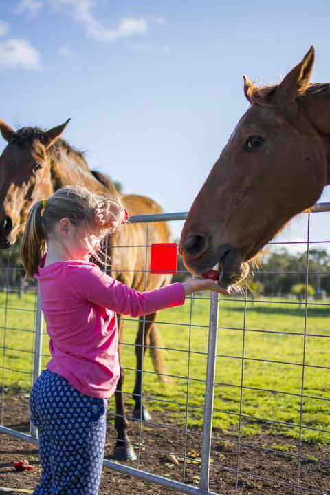 Freshwater Creek Cottages And Farm Stay - Queensland Tourism 0