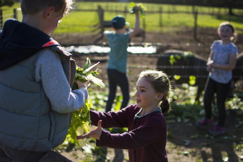 Freshwater Creek Cottages And Farm Stay - Queensland Tourism 3