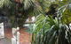 Ballina Palms Boutique Motel - thumb 2