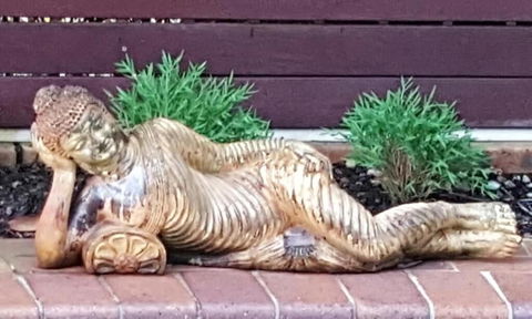 Ballina Palms Boutique Motel - Queensland Tourism 1