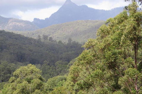 Babbling Brook Retreat - Queensland Tourism 7