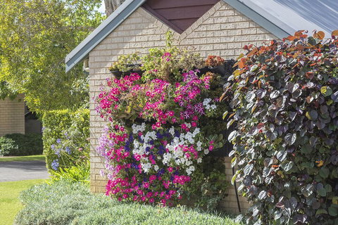 Bayshore Beachside Resort - QLD Tourism 3