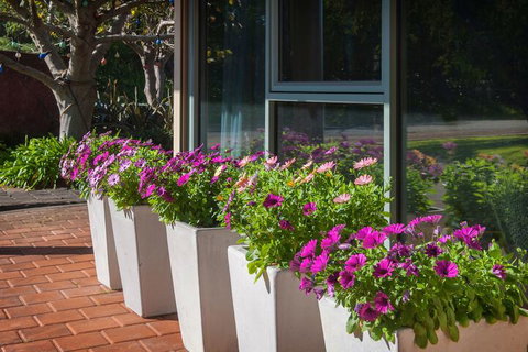 Bayshore Beachside Resort - QLD Tourism 5