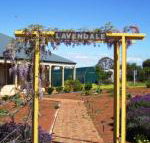 Lavendale Farmstay  Cottages York - Queensland Tourism