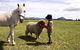 Taras Richmond Farmstay - thumb 0