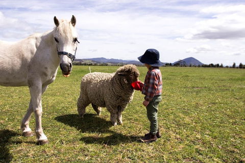 Taras Richmond Farmstay - QLD Tourism 0