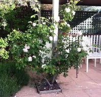 Ellesmere House - Queensland Tourism
