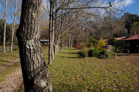 Birdwing Bed & Breakfast Weegena - Queensland Tourism 2