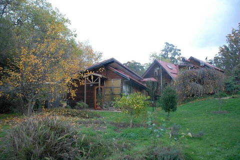 Birdwing Bed & Breakfast Weegena - Queensland Tourism 3