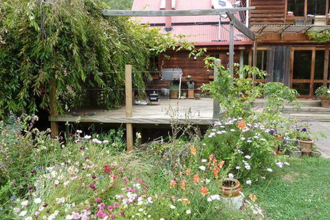 Birdwing Bed & Breakfast Weegena - Queensland Tourism 6