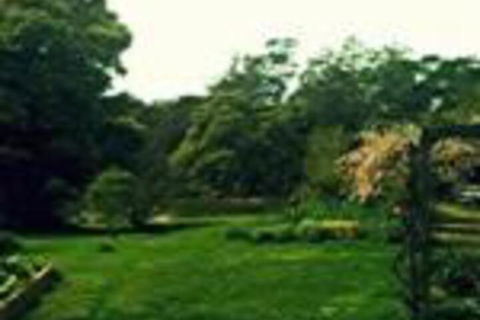 Birdwing Bed & Breakfast Weegena - Queensland Tourism 0