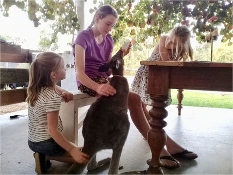 Corynnia Station - Queensland Tourism 2
