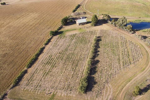Charles Reuben Estate - Queensland Tourism 1