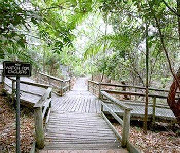 Castaway Cove Resort Noosa - Queensland Tourism 3