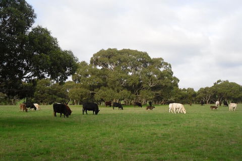 Wenton Farm Holiday Cottages - QLD Tourism 4