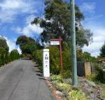 Protea Hill - Queensland Tourism