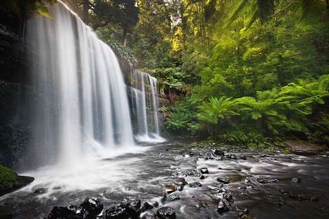 Tyenna River Cottage - QLD Tourism 5